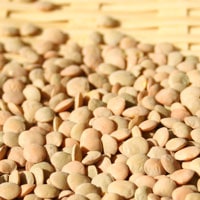 ����Ʀ��