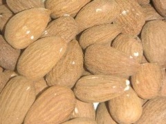 ��������(����̵��)