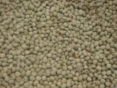 �֤ꥨ����(�����ѥå�)