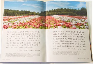 ���ҡֶ�Τ�󤴡��裱�� 10�����å� �� �����ץ쥼���