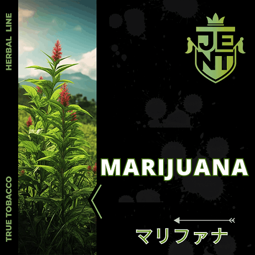 Marijuana マリファナフレーバー 40g JENT Herbal Line | ・JENT<br 