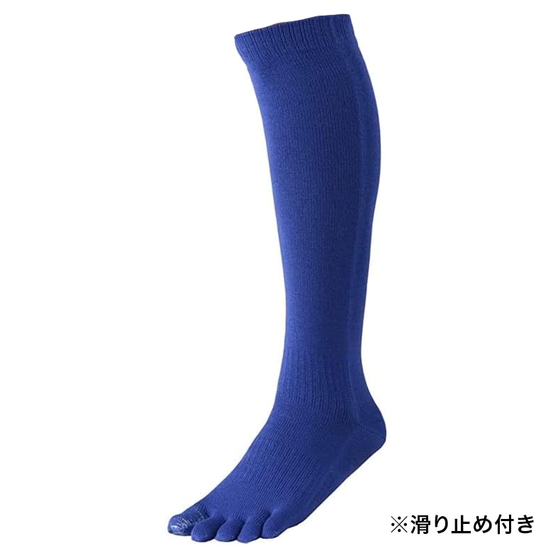 2­å ̵ۤ٤ߤ 5ܻ ϥå    2229cm 顼5 / ӡݡ 