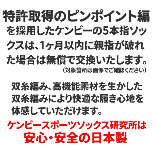 ��2­���å� ����̵���ۿƻ��䶯 5�ܻ� �ϥ����å��� ���� ��� ������ 22��29cm ���顼5�� / ����ӡ����ݡ��� ������