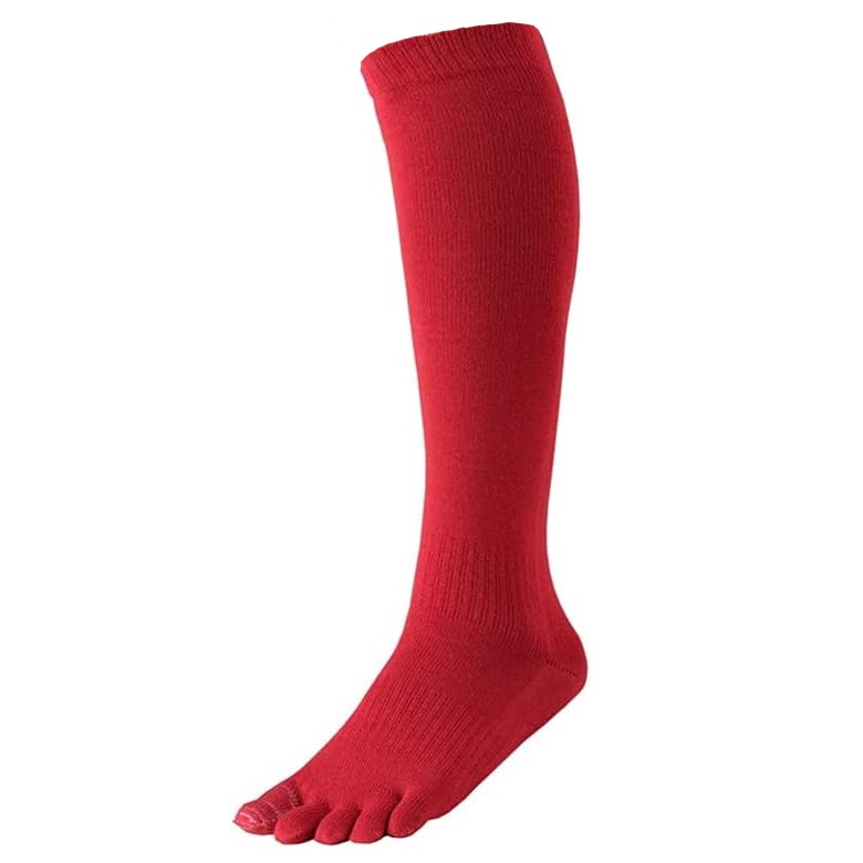 ��2­���å� ����̵���ۿƻ��䶯 5�ܻ� �ϥ����å��� ���� ��� ������ 22��29cm ���顼5�� / ����ӡ����ݡ��� ������