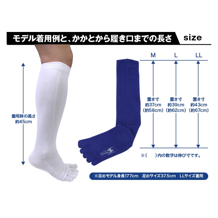 ��2­���å� ����̵���ۿƻ��䶯 5�ܻ� �ϥ����å��� ���� ��� ������ 22��29cm ���顼5�� / ����ӡ����ݡ��� ������