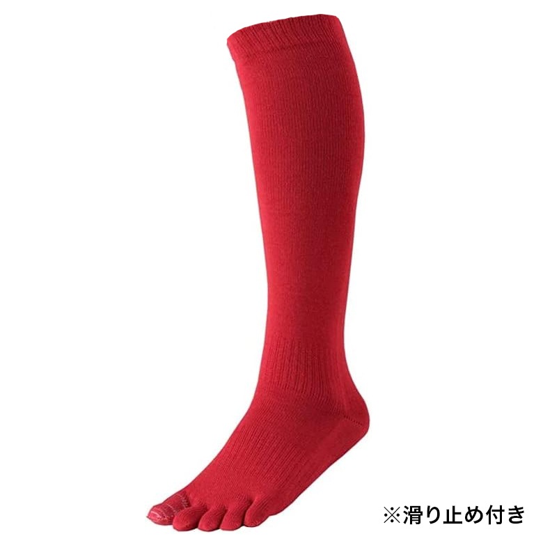 2­å ̵ۤ٤ߤ ƻ䶯 5ܻ ϥå    2229cm 顼5 / ӡݡ 