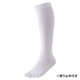 2­å ̵ۤ٤ߤ ƻ䶯 5ܻ ϥå    2229cm 顼5 / ӡݡ 