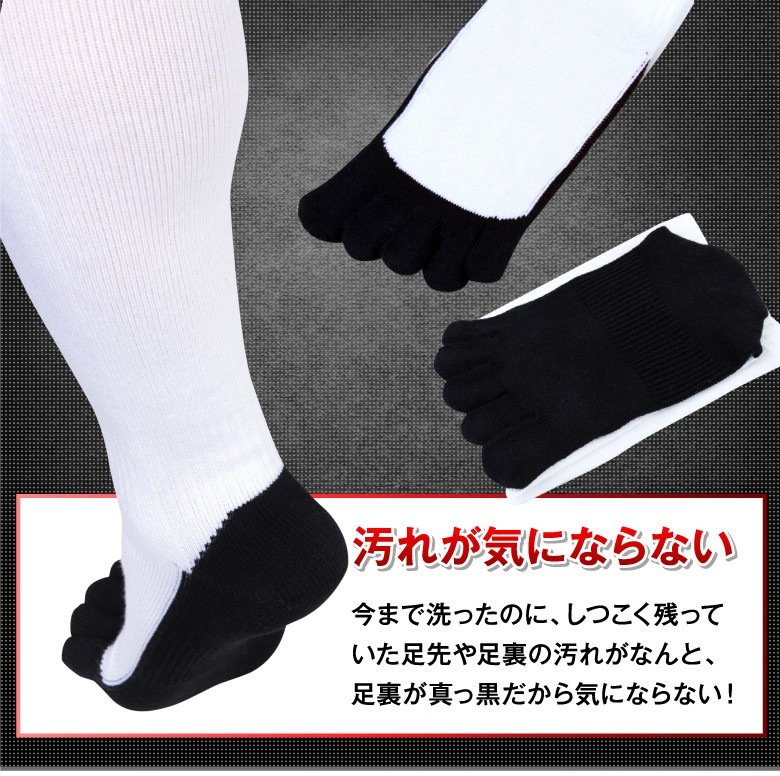 ��2­���å� ����̵����5�ܻ� ���� �ѥ�����å��� �ϥ����å��� ������ 21��29cm ���顼1�� / ����ӡ����ݡ��� ������