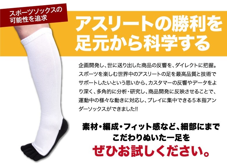 ��2­���å� ����̵����5�ܻ� ���� �ѥ�����å��� �ϥ����å��� ������ 21��29cm ���顼1�� / ����ӡ����ݡ��� ������