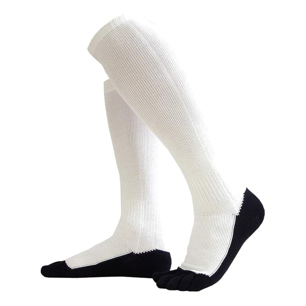 ��2­���å� ����̵����5�ܻ� ���� �ѥ�����å��� �ϥ����å��� ������ 21��29cm ���顼1�� / ����ӡ����ݡ��� ������