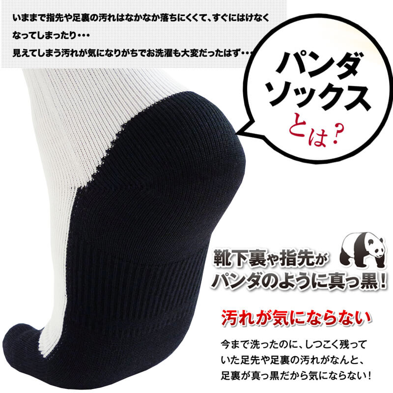 ��2­���å� ����̵����5�ܻ� ���� �ѥ�����å��� �ϥ����å��� ������ 21��29cm ���顼1�� / ����ӡ����ݡ��� ������