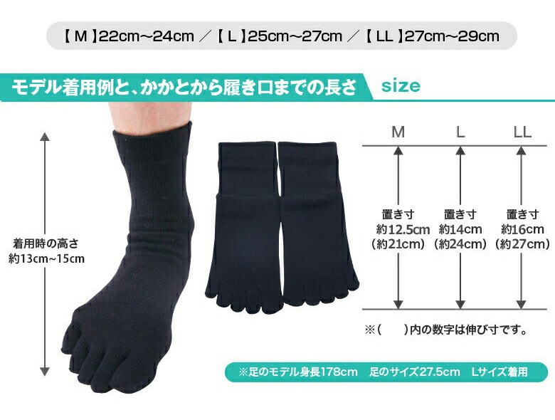 ��2­���å� ����̵����5�ܻ� ���롼�� ���� ��� ������ 22��29cm ���顼5�� / ����ӡ����ݡ��� ������