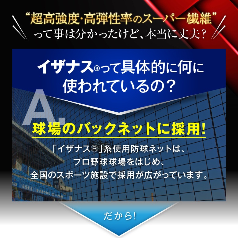 2­å ̵ۤ٤ߤ ƻ䶯 5ܻ 롼    2229cm 顼3 / ӡݡ 