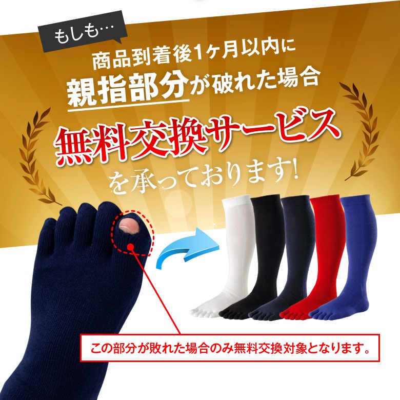 2­å ̵ۤ٤ߤ ƻ䶯 5ܻ 롼    2229cm 顼3 / ӡݡ 