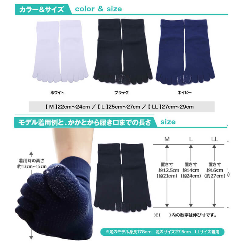 2­å ̵ۤ٤ߤ ƻ䶯 5ܻ 롼    2229cm 顼3 / ӡݡ 