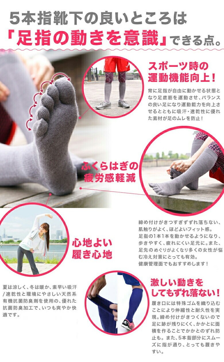 2­å ̵5ܻ ϥå  ǥ  2125cm 顼11 / ӡݡ 