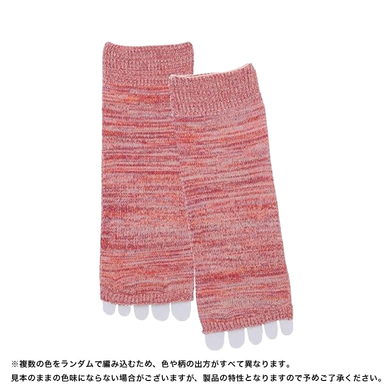 ��2­���å� ����̵����5�ܻ� �����ץ�ȥ� ���롼�� ���å��� �˽����� MOCKSOCKS ������ 22��27cm ���顼20�� / ����ӡ����ݡ��� ������