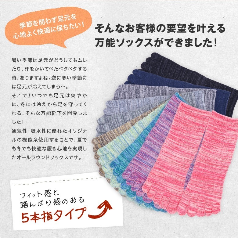 2­å ̵5ܻ 롼  ˽ MOCKSOCKS  2227cm 顼10 / ӡݡ 