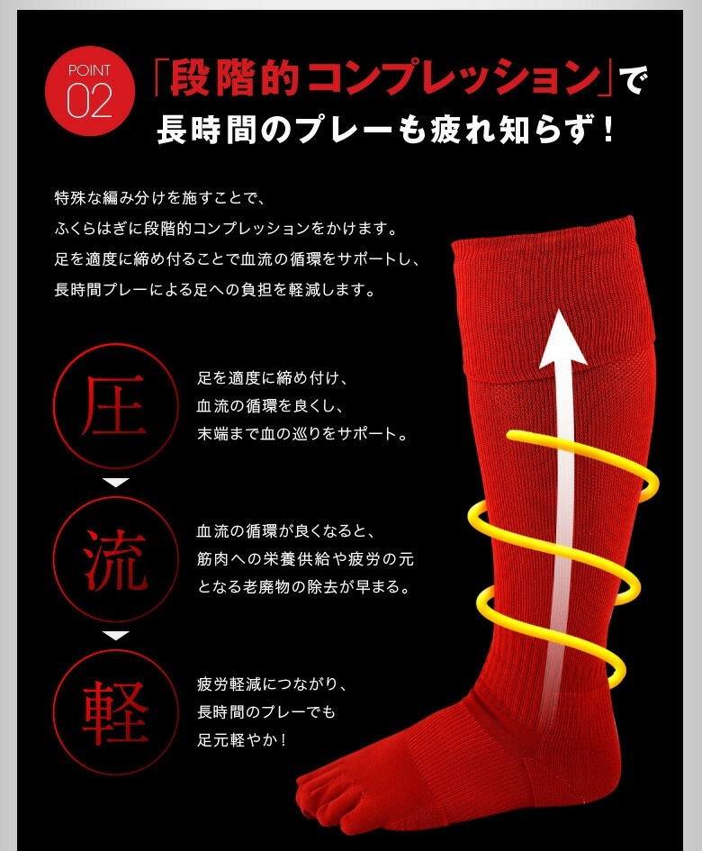 2­å ̵5ܻ åå 饤ʤ ץå   2229cm / ӡݡ 