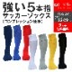 2­å ̵5ܻ åå 饤ʤ ץå   2229cm / ӡݡ 