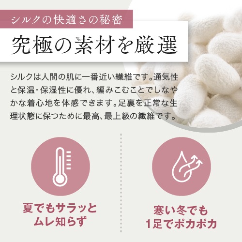 ��1­����Ǥ� ����̵�� ��3­��1­�����ɡ�5�ܻ� ���륯 �եåȥ��С� ��ǥ����� ������ 22-25cm ���顼2�� / ����ӡ����ݡ��� ������