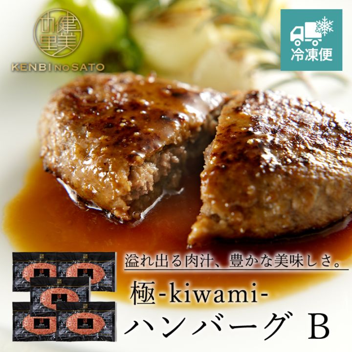 【HOKKAIDO PREMIUM GIFT】極-kiwami- ハンバーグ B　[MG032]【冷凍便】