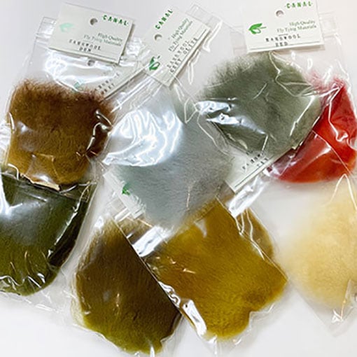 CANAL ��ॺ������