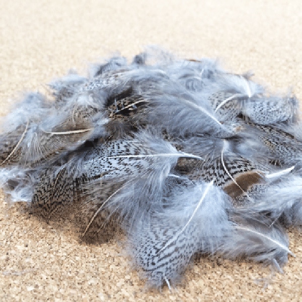 ʥҡѡȥå졼ͥåʥѥå CN56 01