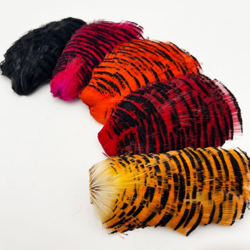 KENCUBE��������ǥ�ե�����ȥƥ��ڥå�