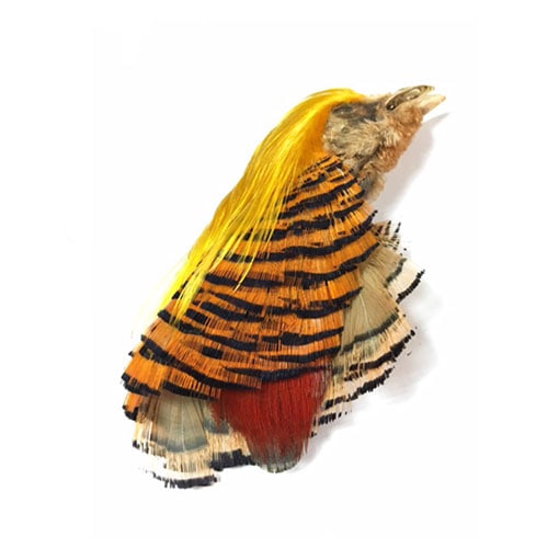 KEN-CUBE ������ǥ�ե�����ȥ���ץ꡼�ȥإå�