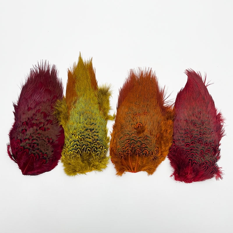 ��󥰥ͥå��ե�����Ȏ����ץѥå�