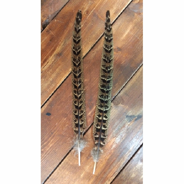 CANAL�ҡ��إ�ե�����ȥơ����CN95��