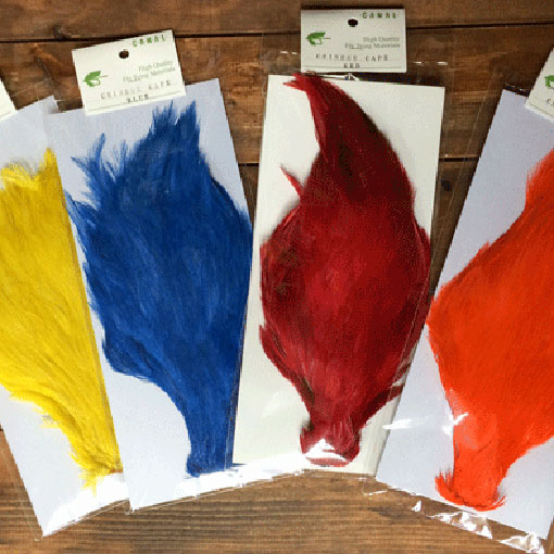 CANAL�ҡ����㥤�ˡ���������(������)