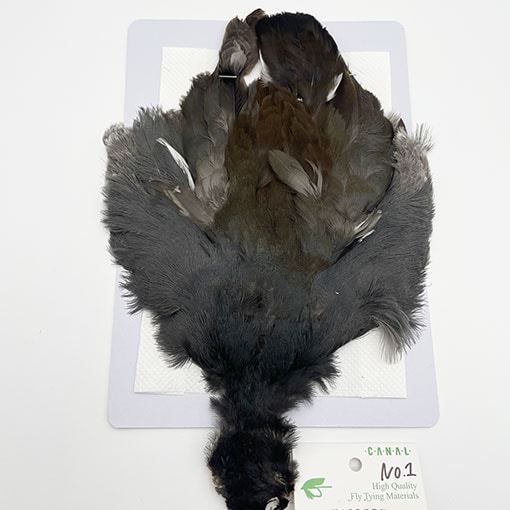 CANAL�ҡ�MOORHEN�ʥॢ�إ�˥���ץ꡼�ȥ������CN99�ۡ���