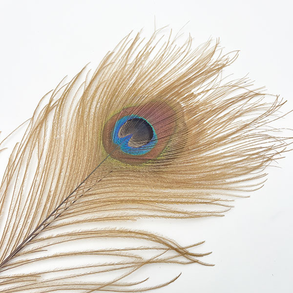 CANAL社 ピーコックアイ・ブリーチド（2本入り） 【CN37 01】