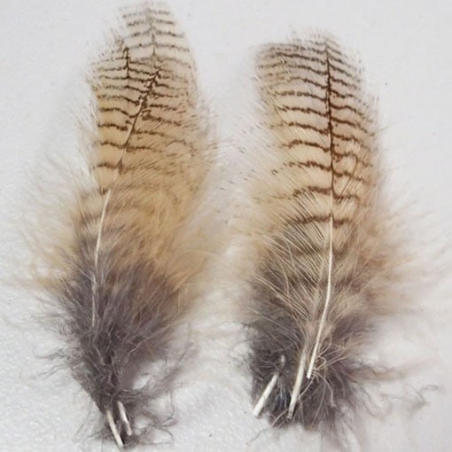 ����ʥ�ҡ��������륢����ʥϥå���ˡ�CN70��