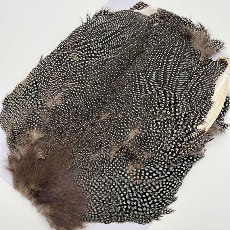 ���˥�������ץ꡼�ȥ�����ʥʥ�����ˡ�CN183�� No.1