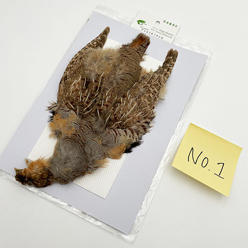 パトリッジコンプリート