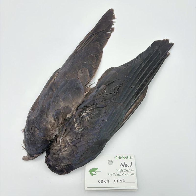 ����ʥ�ҡ������������� NO.1