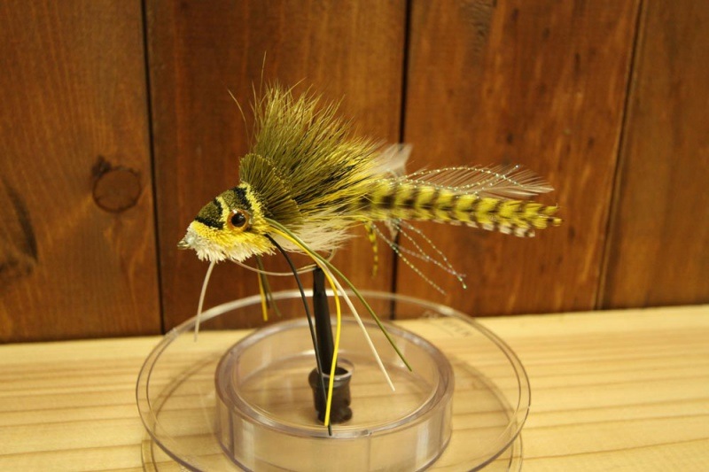 スイミング フロッグ 2