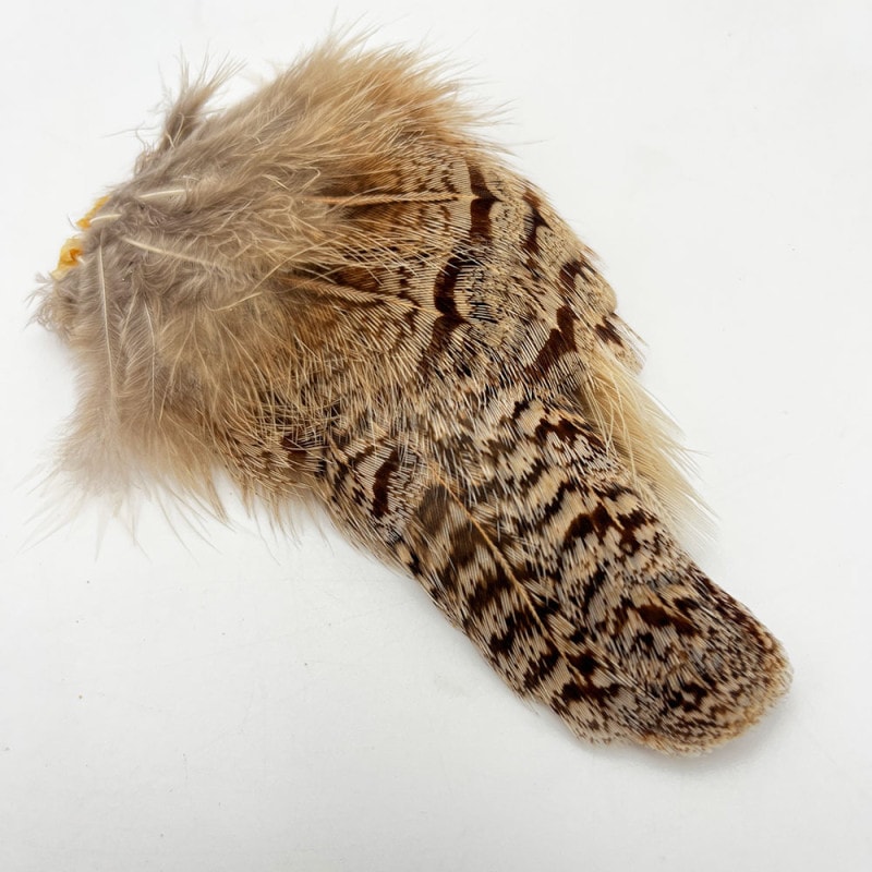 CANALҡѡȥåơCN124