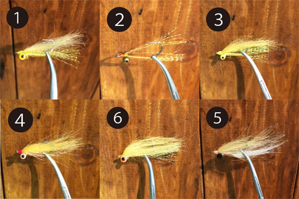 クレイジーチャーリー各種