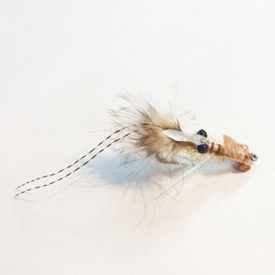 ������ǥ��󥰡��������