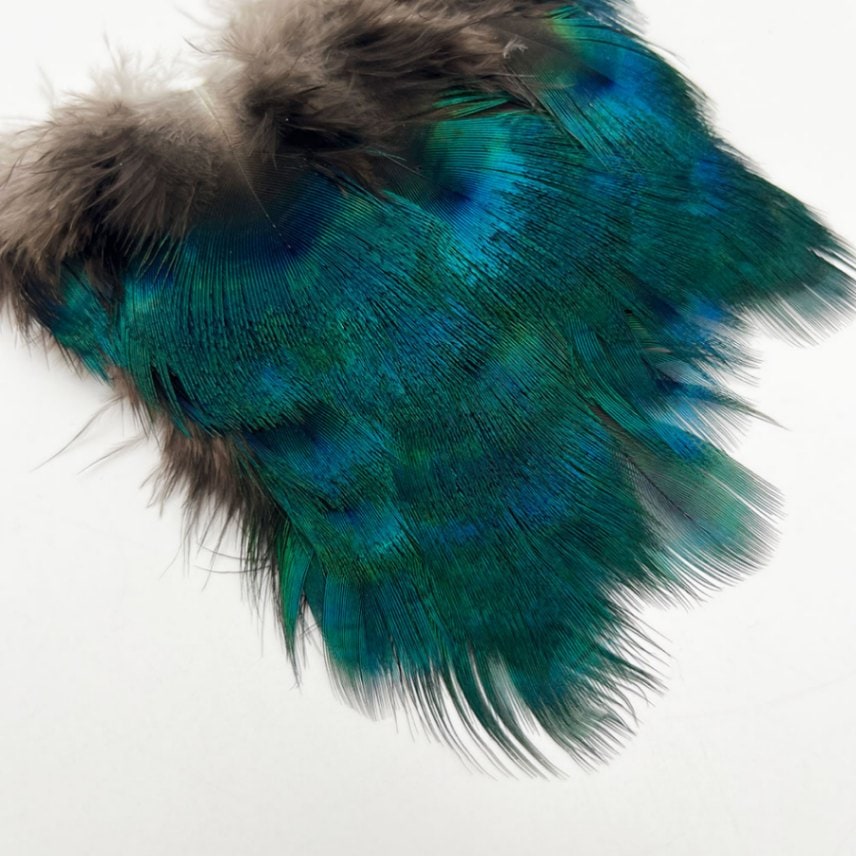 CANAL社 ピーコック グリーンネック[CN158]