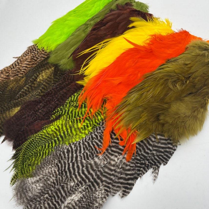 ヘンリーホフマン・チカブー (ハーフスキン)