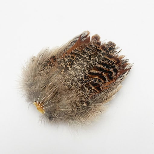 KENCUBEѡȥåơ롡PTD 004