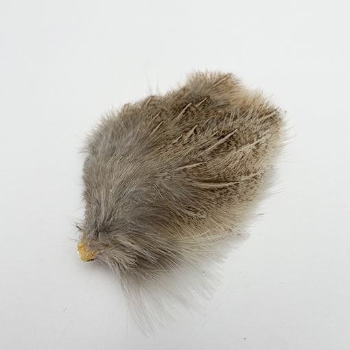 KENCUBE���ѡ��ȥ�å������ץѥå�����PTD 001��