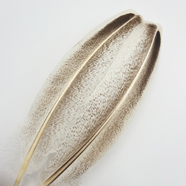 CANAL�ҡ���������������ʥ���С����ڥå���ɡ˥��졼�ɡ���