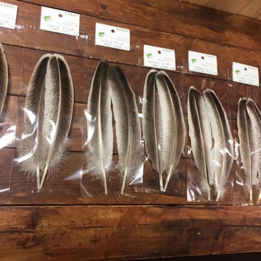 CANAL�ҡ��������������� ���졼���ڥå���ɡ�(���졼�ɣ�)