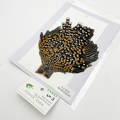 CANALҡ󥰥륳åNo.3